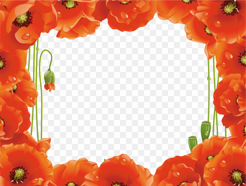 Poppy Frame Flower Frame Floral Frame, PNG, 1400x1059px, Poppy Frame, Coquelicot, Floral Frame, Flower, Flower Frame Download Free
