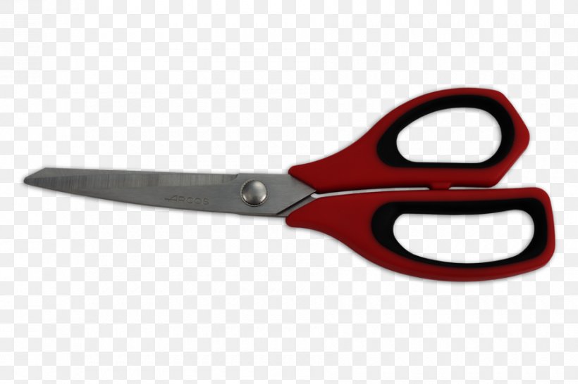 Scissors Arcos Tijera De Cocina Steel Blade, PNG, 900x600px, Scissors, Arcos, Blade, Cutlery, Cutting Tool Download Free