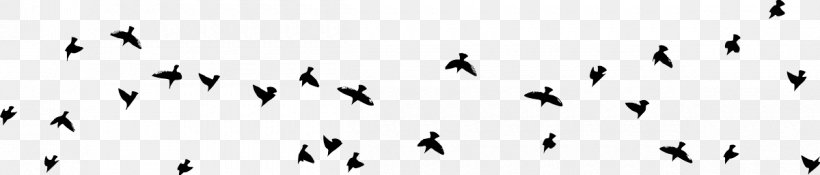 Animal Migration Font Beak Feather Human Migration, PNG, 1200x257px, Animal Migration, Beak, Bird, Black, Black And White Download Free