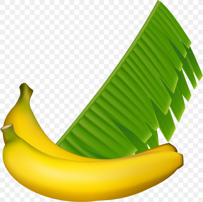 Banana Vector Graphics Design Fruit Image, PNG, 1500x1498px, Banana, Banaani, Banana Family, Banana Leaf, Chute Download Free