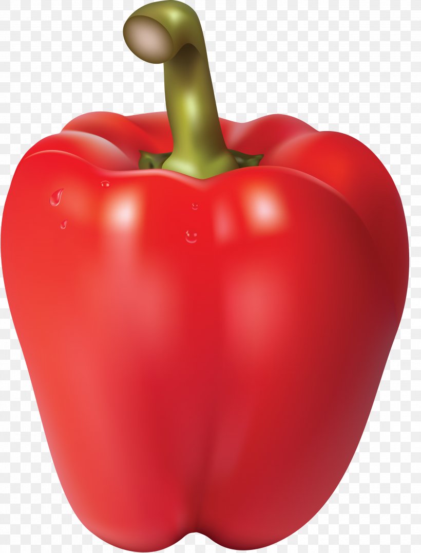 Bell Pepper Chili Con Carne Chili Pepper Vegetable, PNG, 3527x4631px, Bell Pepper, Apple, Bell Peppers And Chili Peppers, Capsicum, Capsicum Annuum Download Free