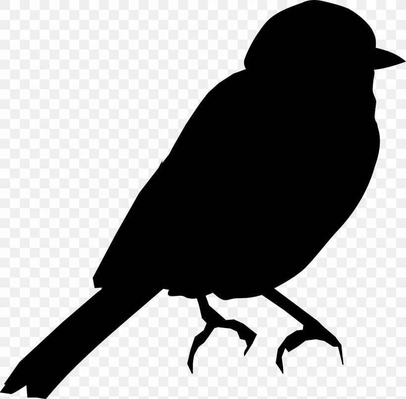 Bird Swallow Silhouette Clip Art Illustration, PNG, 1920x1885px, Bird, Art, Beak, Blackbird, Common Blackbird Download Free