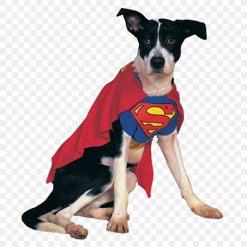 Clark Kent Batman Robin Dog Cat, PNG, 850x850px, Clark Kent, Batman, Carnivoran, Cat, Clothing Download Free