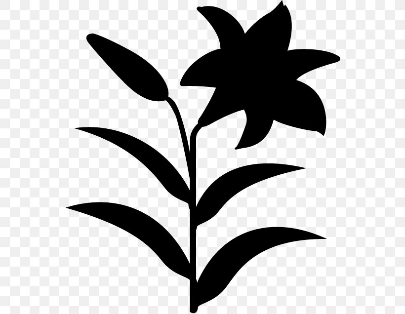 Clip Art Flower Plant Stem Leaf Pattern, PNG, 558x636px, Flower, Blackandwhite, Botany, Flowering Plant, Herbaceous Plant Download Free