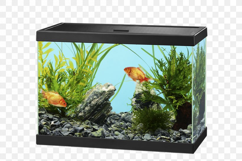 Light-emitting Diode Aquariums, PNG, 1050x700px, Light, Aqua, Aquarium, Aquarium Decor, Aquarium Filters Download Free