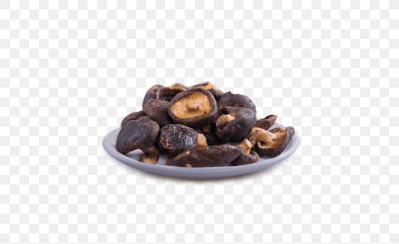 Mushroom Dried Fruit Vegetable Snack, PNG, 504x502px, Mushroom, Bean, Cocoa Bean, Dehydration, Dish Download Free