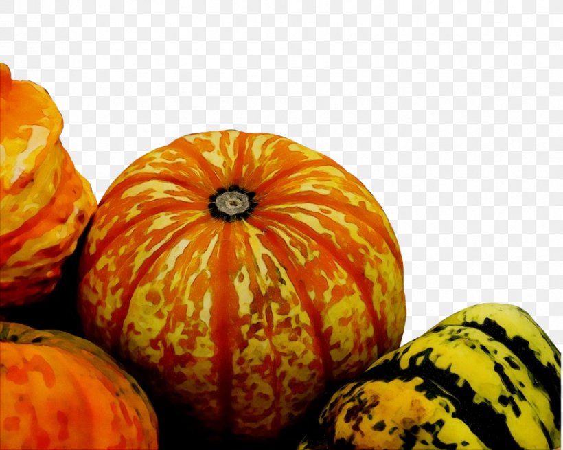 Pumpkin, PNG, 901x720px, Watercolor, Calabaza, Cucurbita, Fruit, Gourd Download Free