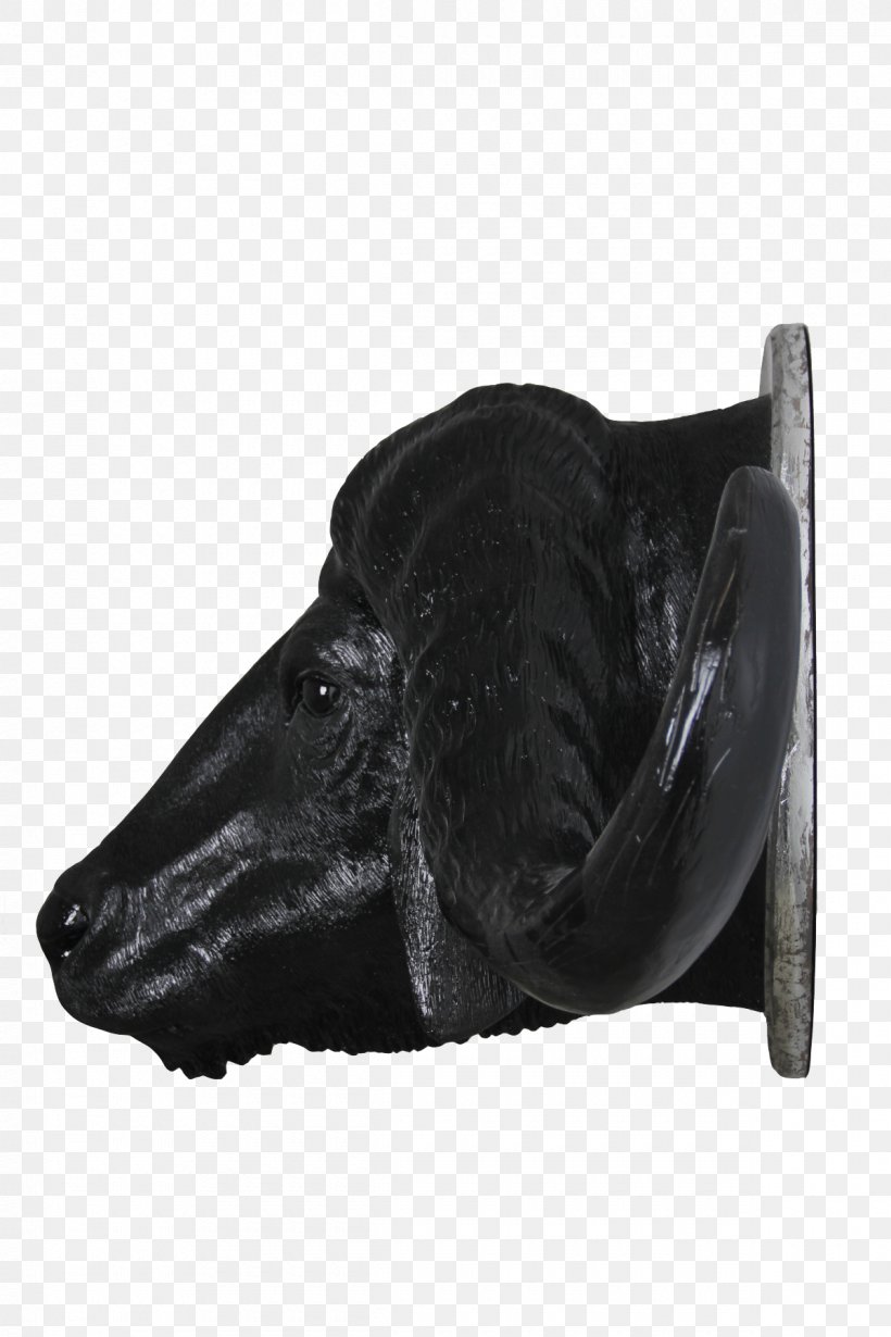 Shoe Snout Black M, PNG, 1200x1800px, Shoe, Black, Black M, Snout Download Free
