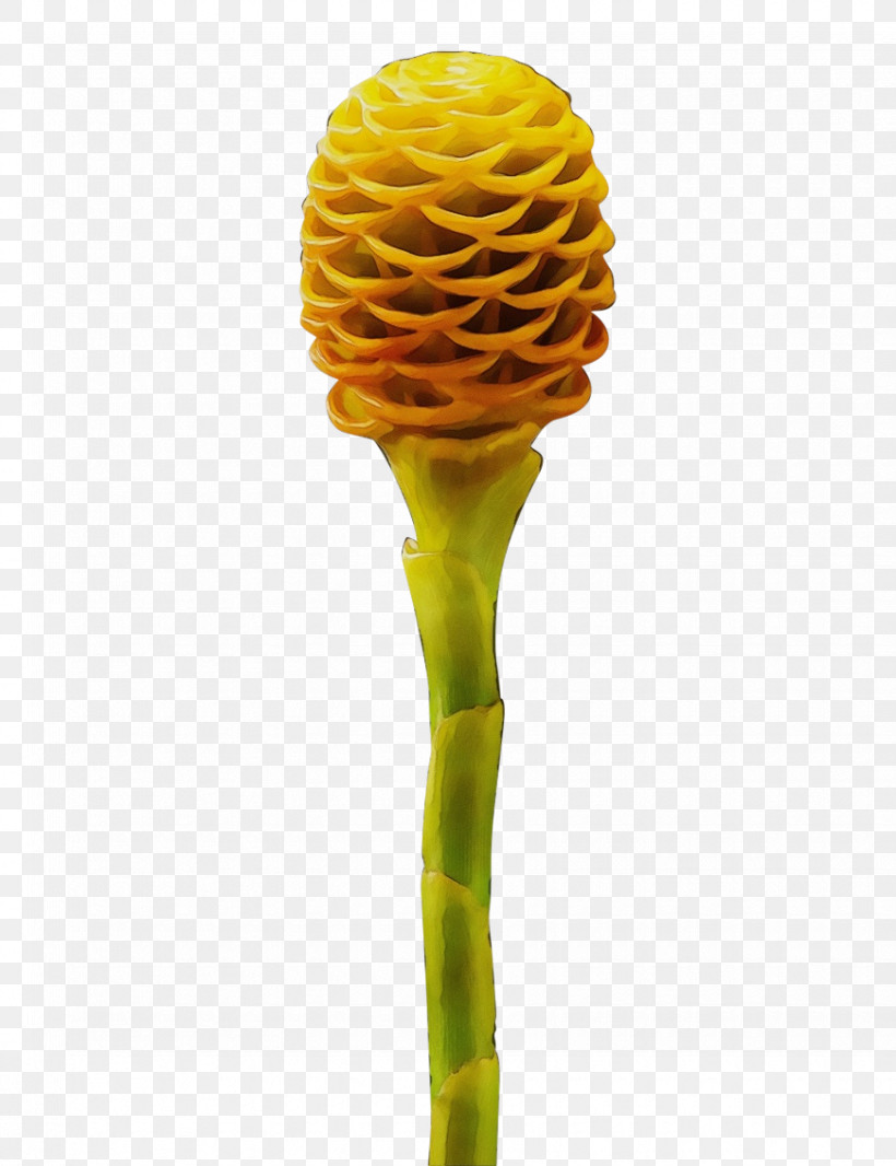 Yellow Plant Flower Plant Stem Ginger Family, PNG, 870x1131px, Watercolor, Flower, Ginger Family, Paint, Plant Download Free