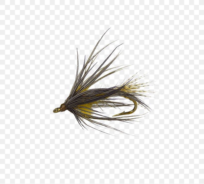Artificial Fly Hackle Holly Flies Quill Corp Stock Keeping Unit, PNG, 555x741px, Artificial Fly, Fishing Bait, Hackle, Holly Flies, Nymph Download Free