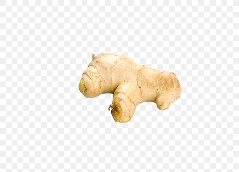 Ginger Root Vegetables Icon, PNG, 591x591px, Ginger, Animal Cracker, Drawing, Food, Root Vegetable Download Free