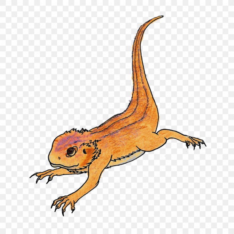 Rankins Dragon Cartoon Lizard Drawing Illustration, PNG, 894x894px, Bearded Collie, Amphibian, Art, Beard, Bearded Dragons Download Free