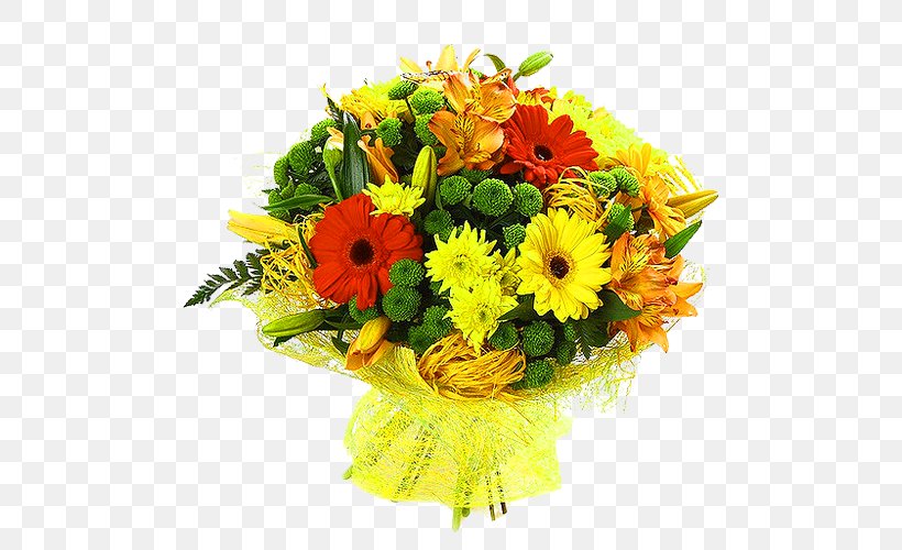 Transvaal Daisy Flower Bouquet Chrysanthemum Rose, PNG, 500x500px, Transvaal Daisy, Annual Plant, Artificial Flower, Blume, Blumenversand Download Free