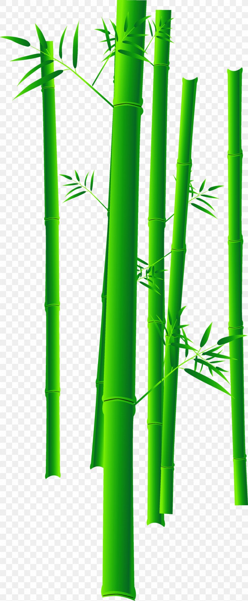 Bamboo Bamboe Euclidean Vector, PNG, 1200x2901px, Bamboo, Bamboe, Energy, Grass, Grass Family Download Free