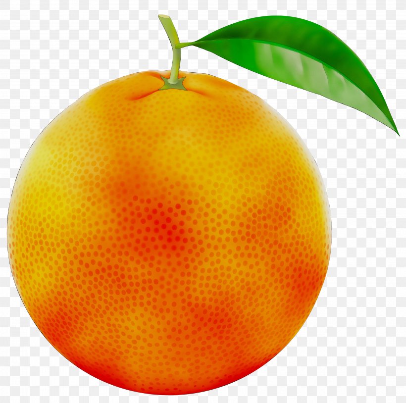Clementine Tangerine Mandarin Orange, PNG, 3808x3784px, Clementine, Accessory Fruit, Bitter Orange, Blood Orange, Citrus Download Free
