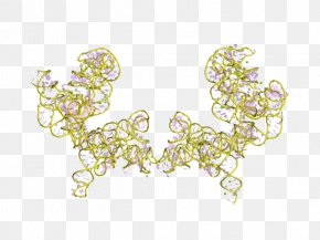 Exon Shuffling RNA Splicing Alternative Splicing, PNG, 670x599px, Rna  Splicing, Alternative Splicing, Area, Diagram, Directory Download Free