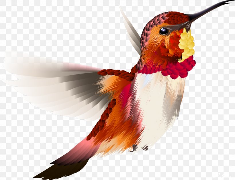 Hummingbird, PNG, 1200x921px, Hummingbird, Art, Beak, Bird, Drawing Download Free