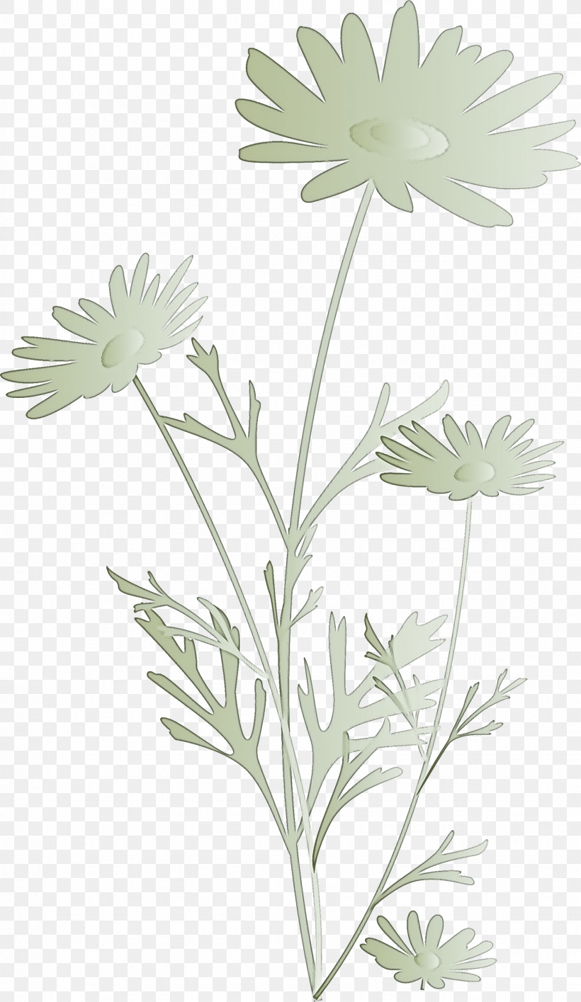 Marguerite Flower Spring Flower, PNG, 1737x2999px, Marguerite Flower, Camomile, Chamomile, Daisy Family, Flower Download Free