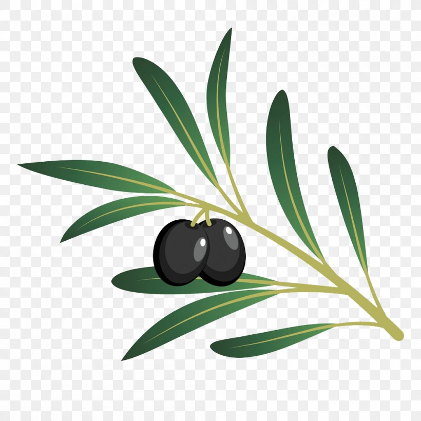 Olive Oil Cartoon, PNG, 1000x1000px, Olive, Bottle, Branch, Cartoon, Flat Design Download Free