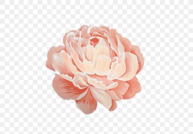 Peony Floral Design Painting Work Of Art, PNG, 570x570px, Peony, Art, Art Museum, Artificial Flower, Cut Flowers Download Free