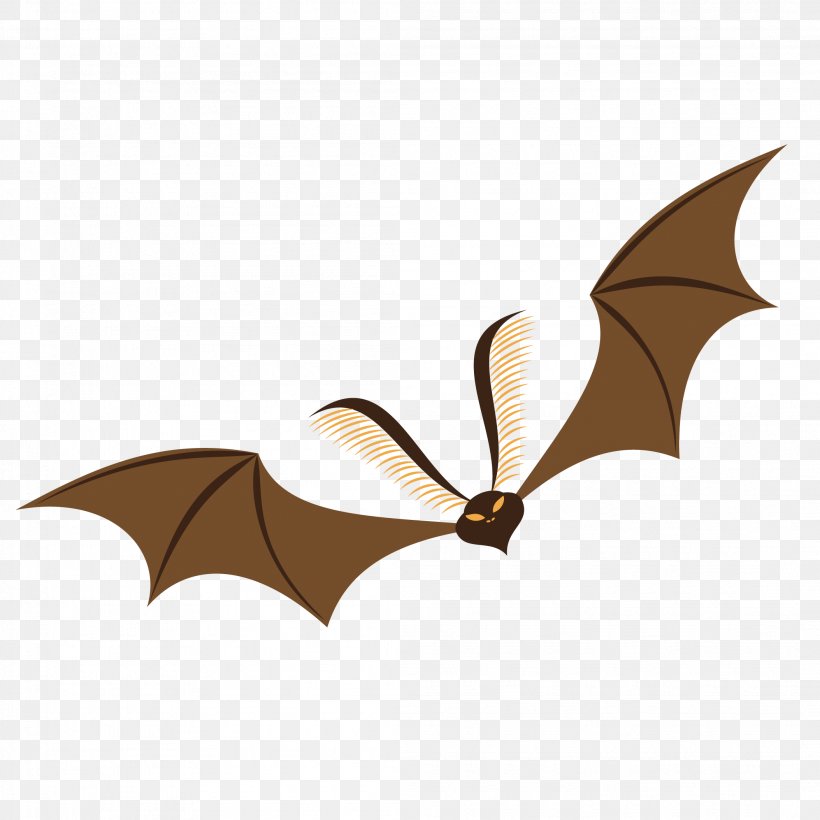 Vector Graphics Image Design Euclidean Vector, PNG, 2107x2107px, Microbat, Bat, Halloween, Photography, Pollinator Download Free