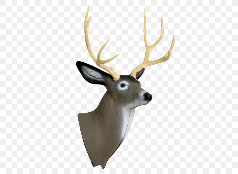 White-tailed Deer Target Archery Shooting Target, PNG, 600x600px, Deer, Antler, Archery, Bow, Bowhunting Download Free