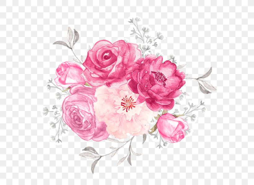 Garden Roses Cut Flowers Floral Design Illustration, PNG, 600x600px, Garden Roses, Art, Blossom, Cabbage Rose, Cut Flowers Download Free