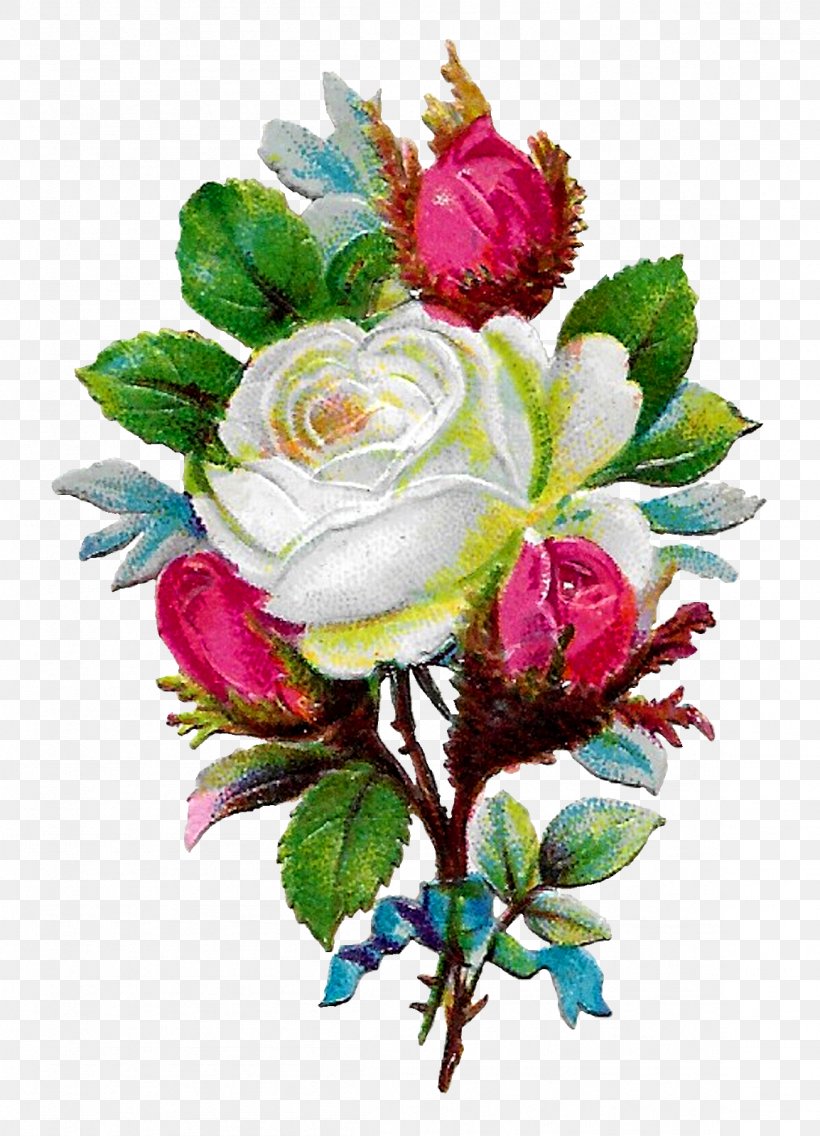 Garden Roses Floral Design Cabbage Rose Cut Flowers, PNG, 1154x1600px, Garden Roses, Artificial Flower, Cabbage Rose, Cut Flowers, Decoupage Download Free