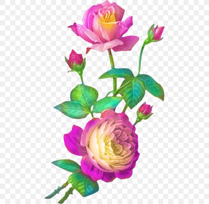 Rose Flower Clip Art, PNG, 472x800px, Rose, Artificial Flower, Blog, Blue Rose, Cut Flowers Download Free