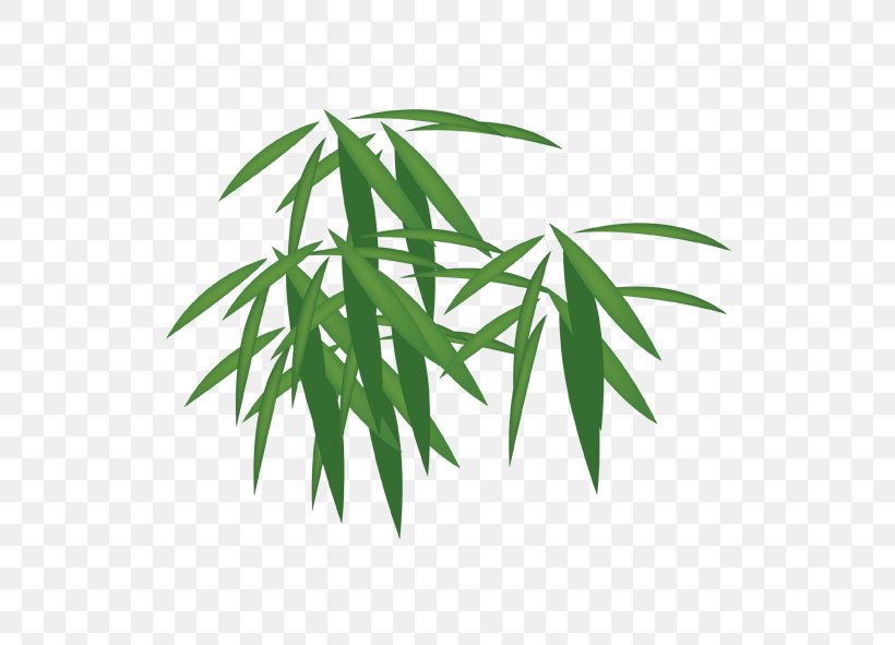 Bamboo Download, PNG, 591x591px, Bamboo, Client, Hemp, Leaf, Midautumn Festival Download Free