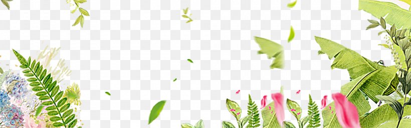 Border Flowers Euclidean Vector, PNG, 2000x626px, Border Flowers, Designer, Flora, Floral Design, Floristry Download Free