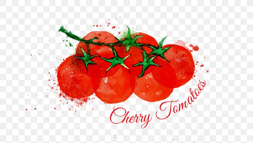 Cherry Tomato Watercolor Painting Lettuce Illustration, PNG, 658x465px, Cherry Tomato, Art, Cherry, Diet Food, Food Download Free