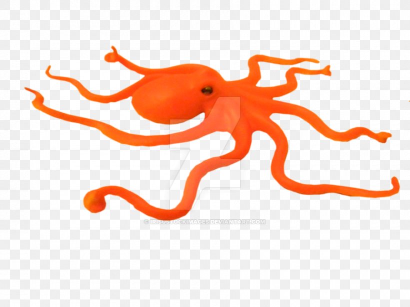 Enteroctopus Dofleini Cephalopod Clip Art, PNG, 900x675px, Octopus, Cartoon, Cephalopod, Child, Drawing Download Free