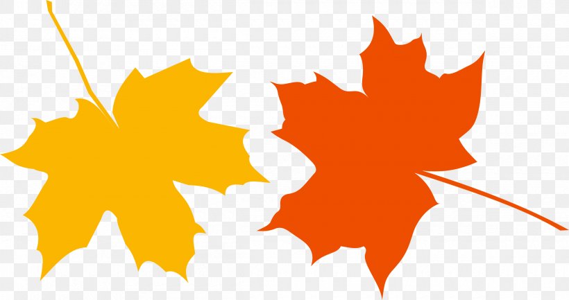 Japanese Maple Autumn Leaf Color Clip Art, PNG, 2400x1270px, Japanese Maple, Autumn, Autumn Leaf Color, Color, Flowering Plant Download Free