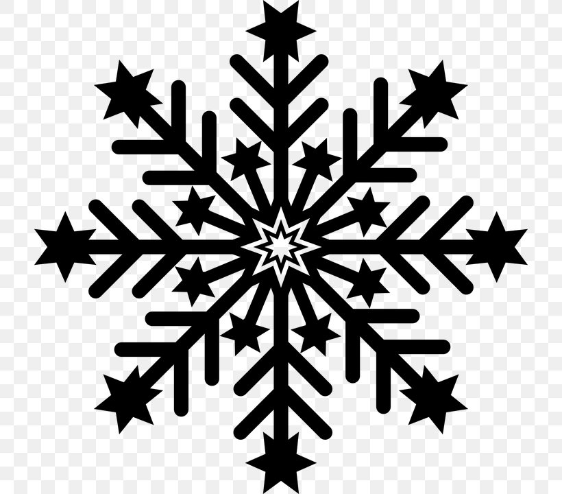 Snow Icon, PNG, 720x720px, Snowflake, Black And White, Fotolia, Logo, Monochrome Download Free