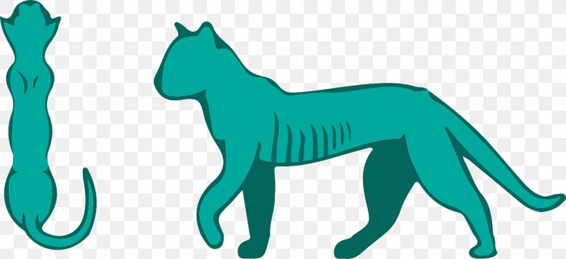 Cat Dog Clip Art Nutrition Pet, PNG, 1470x674px, Cat, Big Cat, Big Cats, Canidae, Carnivoran Download Free