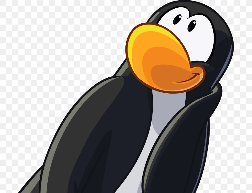 Club Penguin Blog, PNG, 703x629px, Penguin, Beak, Bird, Blog, Club Penguin Download Free