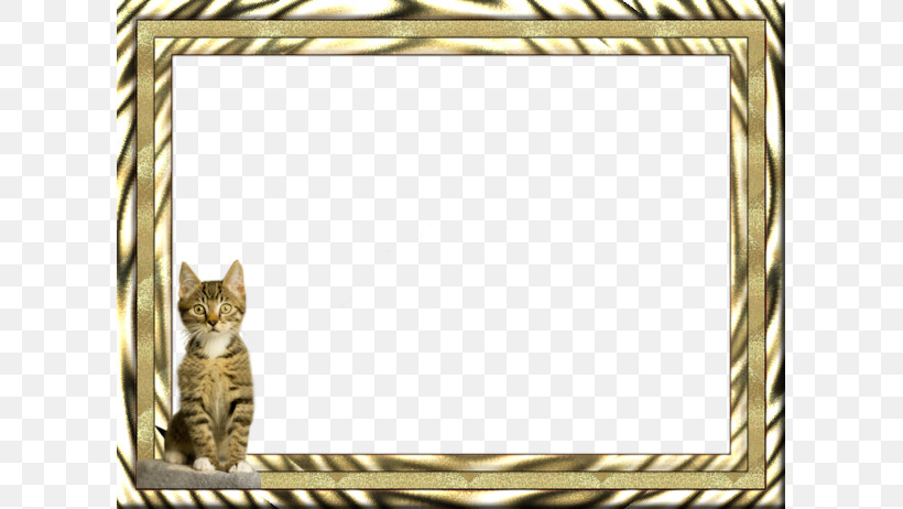 Picture Frame, PNG, 607x462px, Picture Frame, Cat, Interior Design, Rectangle, Small To Mediumsized Cats Download Free