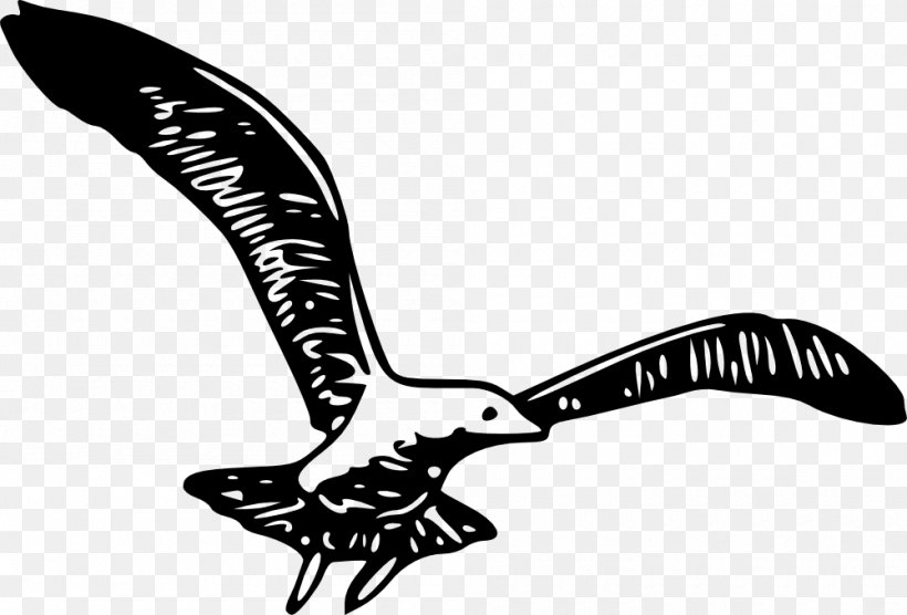 Bird Clip Art Vector Graphics Wing Openclipart, PNG, 1000x679px, Bird, Beak, Bird Flight, Blackandwhite, Drawing Download Free