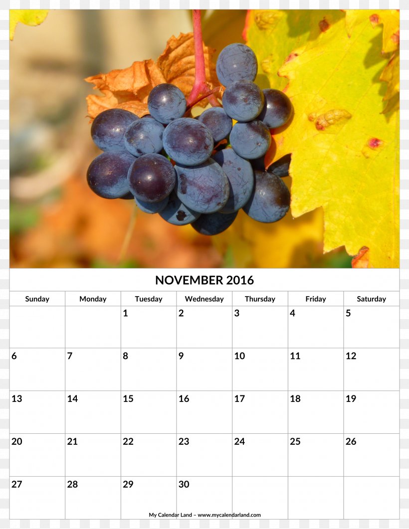 Common Grape Vine Wine Grape Seed Oil Fruit, PNG, 2550x3300px, Common Grape Vine, Auglis, Calendar, Flowering Plant, Food Download Free