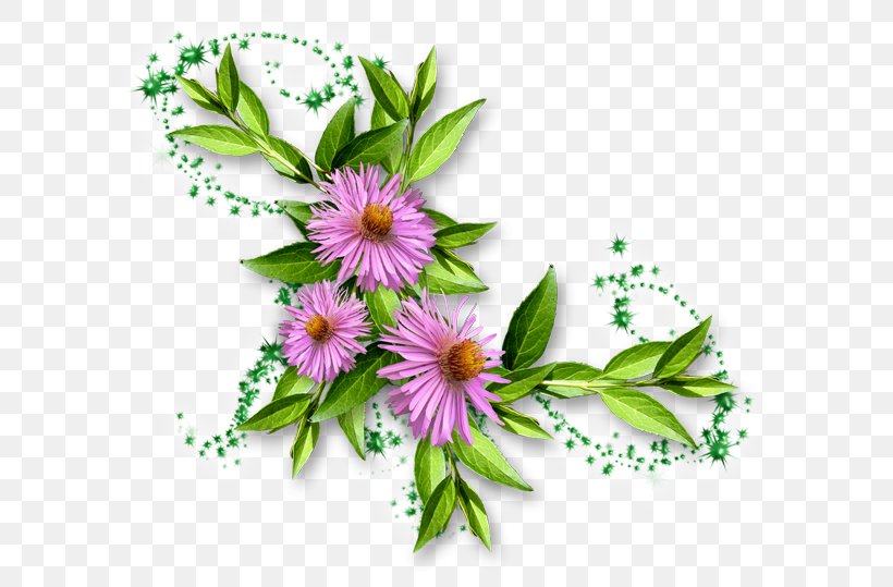 Floral Design Flower Petal Herbalism Herbaceous Plant, PNG, 600x539px, Floral Design, Aster, Daisy, Daisy Family, Floristry Download Free