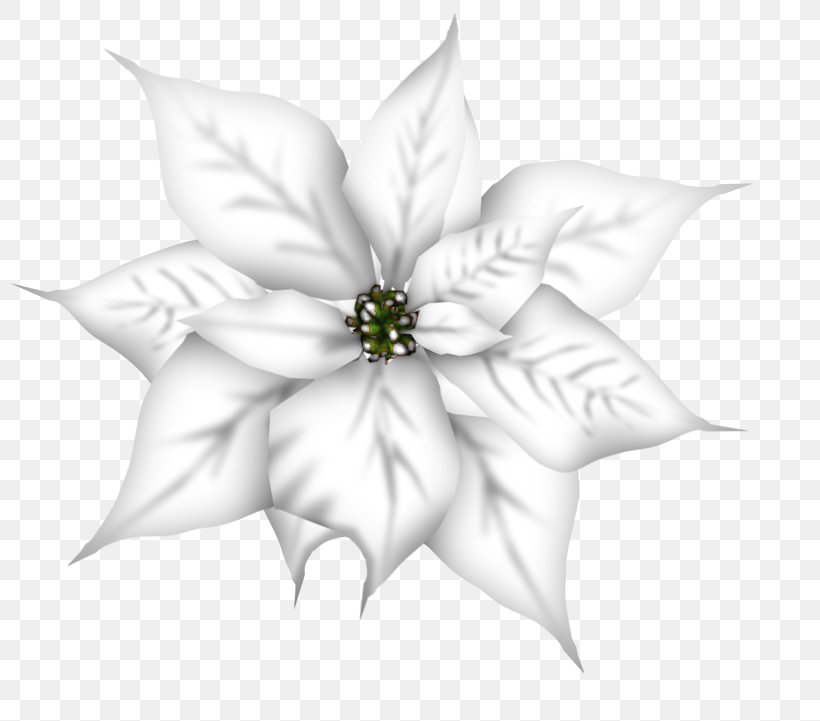 Petal White Cut Flowers Flowering Plant, PNG, 800x721px, Petal, Black And White, Cut Flowers, Flora, Flower Download Free