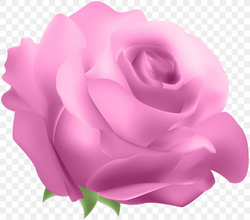 Blue Rose, PNG, 8000x7043px, Rose, Blue, Blue Rose, Cut Flowers, Floribunda Download Free