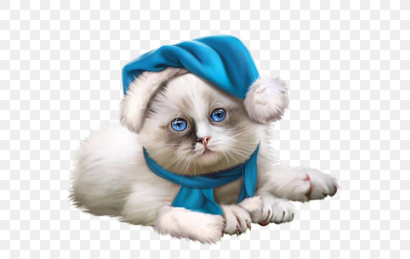 Cat Puppy Ragdoll Small To Medium-sized Cats Kitten, PNG, 600x518px, Cat, Fur, Headgear, Kitten, Lhasa Apso Download Free