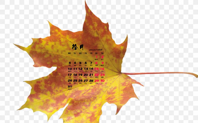 Maple Leaf Desktop Wallpaper Autumn Leaves, PNG, 1920x1200px, Maple Leaf, Autumn, Autumn Leaf Color, Autumn Leaves, Color Download Free