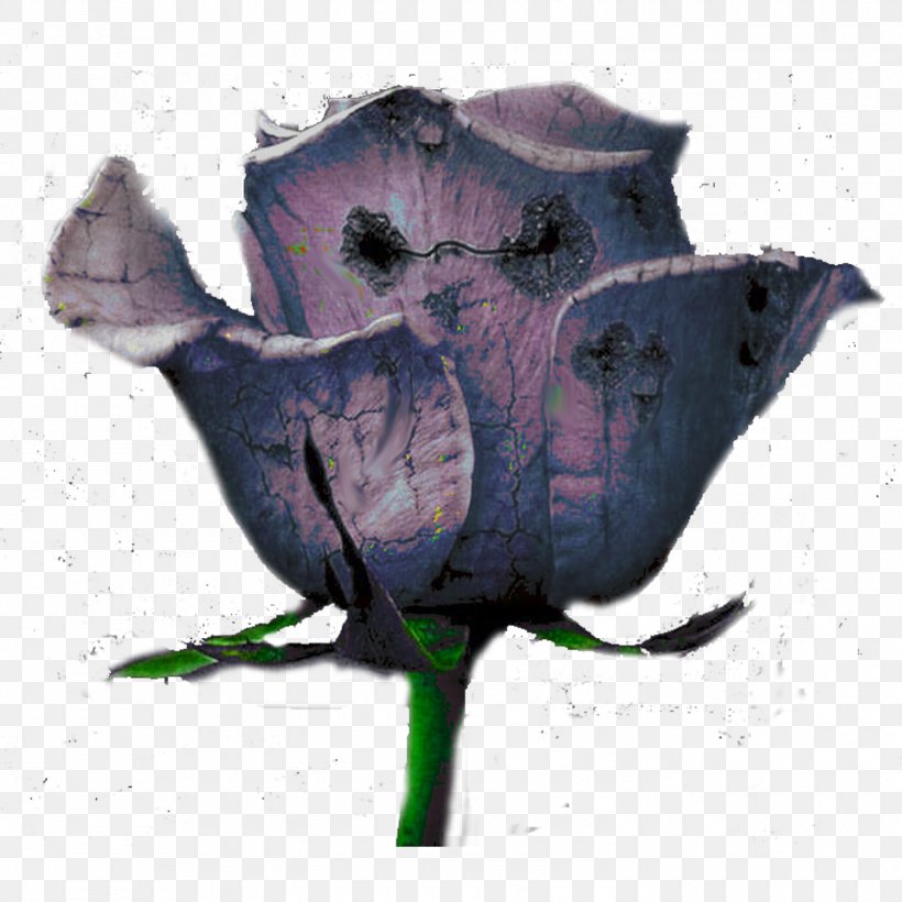 Wildflower, PNG, 1500x1500px, Flower, Chart, Designer, Organism, Plant Download Free