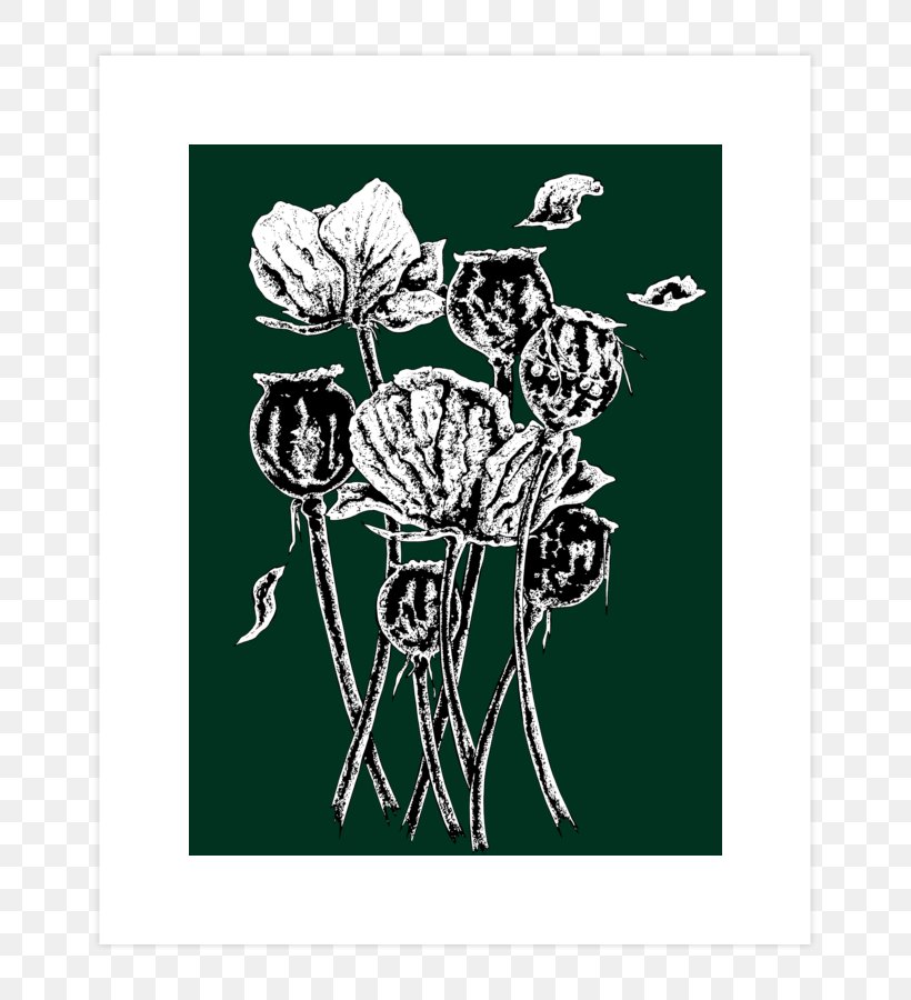Book Illustration Opium Poppy Visual Arts, PNG, 740x900px, Book Illustration, Alamy, Art, Black, Black And White Download Free