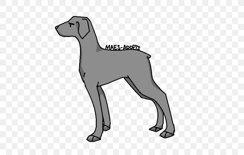 Dog Breed Italian Greyhound Puppy Line Art, PNG, 570x520px, Dog Breed, Black And White, Breed, Carnivoran, Dog Download Free