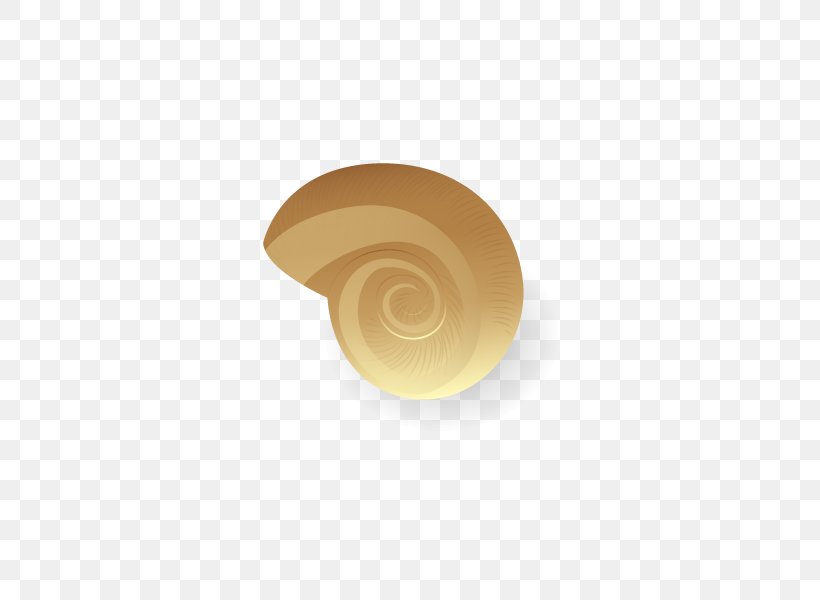 Euclidean Vector Sea Snail, PNG, 600x600px, Sea Snail, Beige, Brown, Color, Conch Download Free