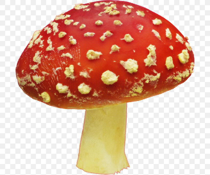 Fly Agaric Mushroom Penny Bun Agaric Fungus, PNG, 700x683px, Fly Agaric, Agaric, Amanita, Amanita Fulva, Amanita Virosa Download Free
